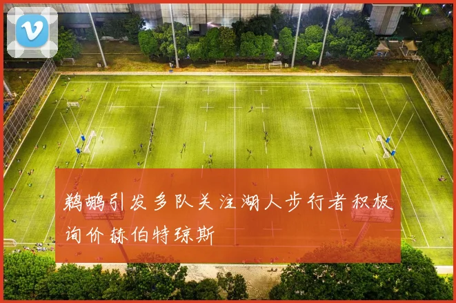 鹈鹕引发多队关注湖人步行者积极询价赫伯特琼斯