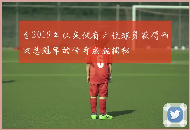 自2019年以来仅有六位球员获得两次总冠军的传奇成就揭秘